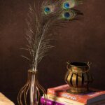 Energized Peacock Feather